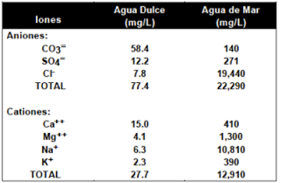EL EXTRAÑO FENÓMENO QUE DIVIDE LOS MARES