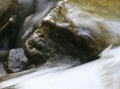 Cazadores subvenciones