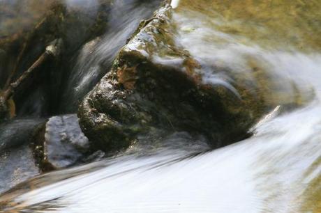 Cazadores de subvenciones