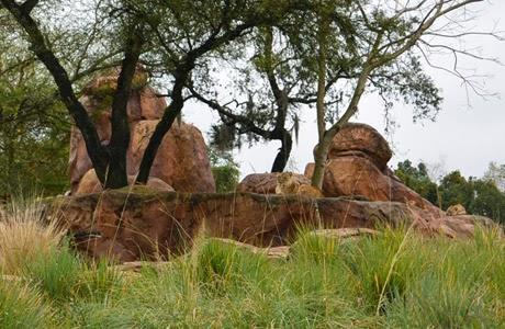 Animal Kingdom, Walt Disney World Resort, Orlando, Florida