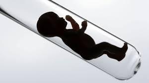 Argumentos contrarios a la fecundación in vitro (FIV - IVF)