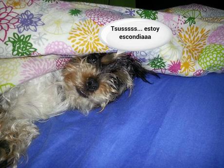 estamos tan agustito