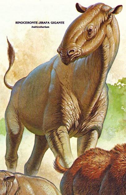 ZOOBOOKS: Antepasados de los rinocerontes