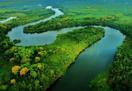 Pantanal brasil