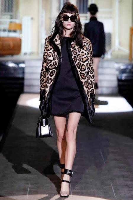 Dsquared2 Fall 2014