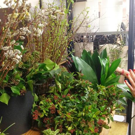 Una tarde entre flores Una tarde entre flores