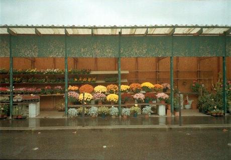 tumblr_n1egzjYp961qkys6bo1_1280