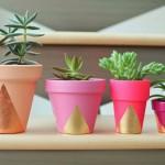 #decopedia2: los finalistas!