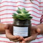 #decopedia2: los finalistas!