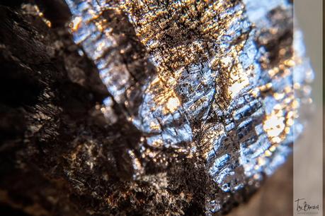 Macros con una ampliación x10 Macros con una ampliación x10