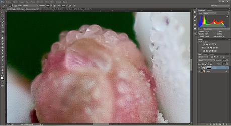 La importancia de hacer nuestra foto en RAW en vez de JPG