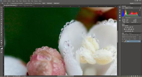 La importancia de hacer nuestra foto en RAW en vez de JPG