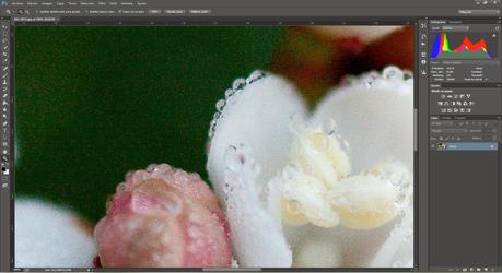 La importancia de hacer nuestra foto en RAW en vez de JPG