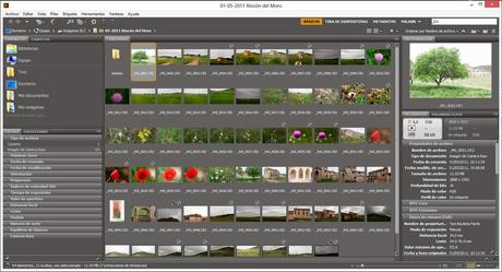 Unidad IV – Acciones y automatismos en Photoshop II