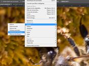 Cómo funciona nuevo filtro "Estabilizador imagen" Adobe Photoshop
