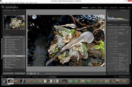 ¿Qué son los datos EXIF?