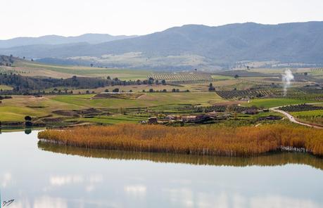 De pruebas con un objetivo analógico Helios-44 2/58 + Teleconversor Solidex x0.6 angular + filtro Hama Whirlpool Margin