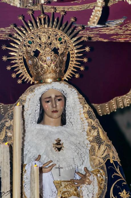 Transforma en pintura de impasto tus fotografías.