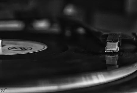 Tarde de experimentos