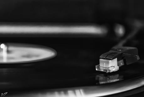 Tarde de experimentos