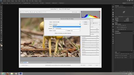 Unidad II – Trabajando con Photoshop CS6. Conceptos básicos (V)