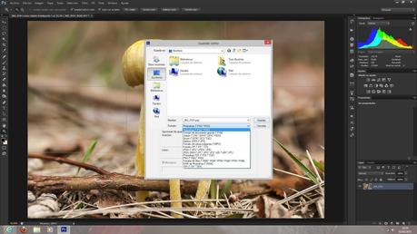 Unidad II – Trabajando con Photoshop CS6. Conceptos básicos (IV)
