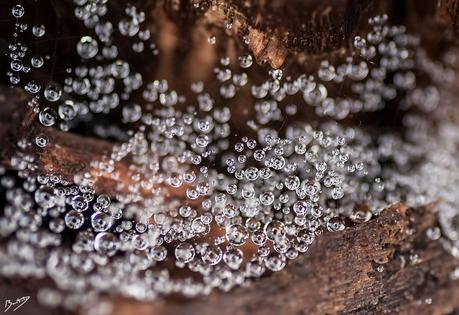 Descubriendo los placeres de usar objetos inteligentes en Photoshop