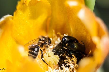 Buscando en mis viejas fotos