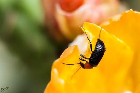 Buscando en mis viejas fotos