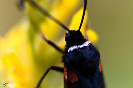 Rescatando viejas fotos