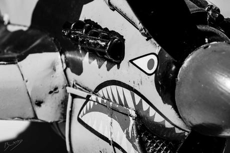 Dar el toque final a tus fotografías en blanco & negro