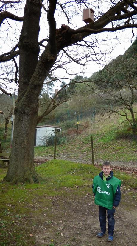 CRECIENDO ENTRE PÁJAROS Y PAJAREROS