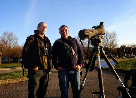 CRECIENDO ENTRE PÁJAROS Y PAJAREROS