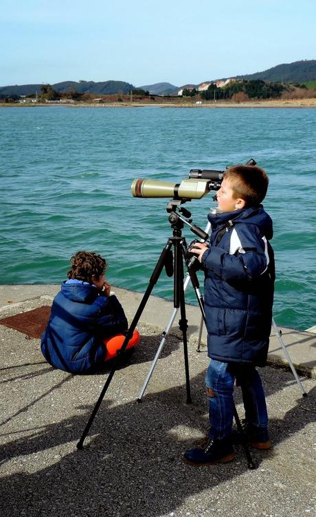 CRECIENDO ENTRE PÁJAROS Y PAJAREROS