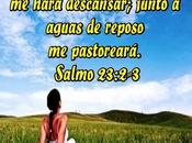 «Descansa»