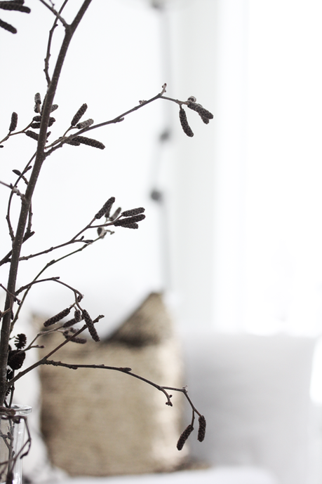 DECORANDO CON UNA RAMA