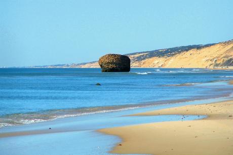 Matalascañas, mar y naturaleza en un mismo destino