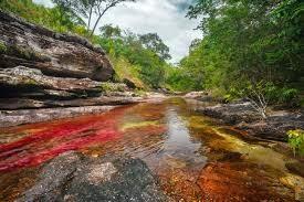 Caño Cristales, el río donde se derritió el arco iris