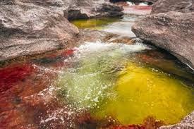 Caño Cristales, el río donde se derritió el arco iris