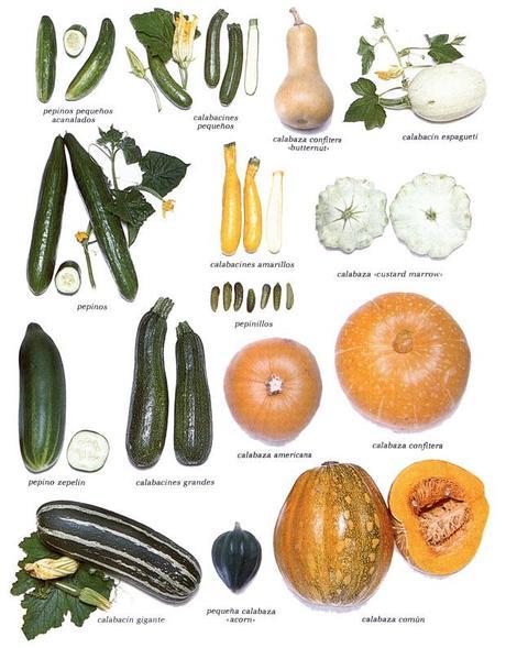 Mermelada de calabaza Mermelada de calabaza