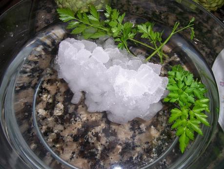 ALCACHOFAS RELLENAS DE PATE CON SALSA DE VINO