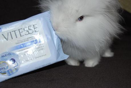 Toallitas exfoliantes Vitesse Toallitas exfoliantes Vitesse