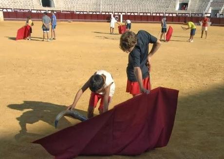 La “violencia física y mental de la tauromaquia”.