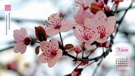 Calendario Marzo, Bloguer@s Fandanguer@s,