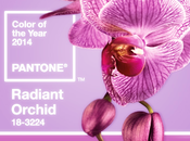Radiant Orchid: color Pantone para 2014