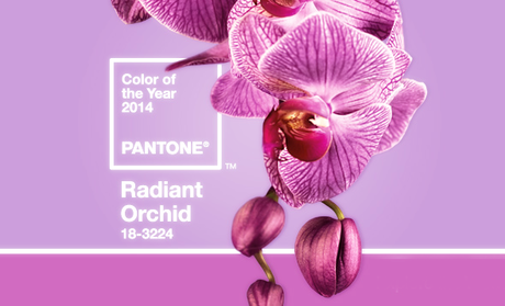 Radiant Orchid Radiant Orchid