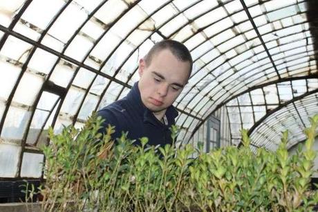 Un joven con discapacidad intelectual obtiene por primera vez en Navarra un Certificado de Profesionalidad