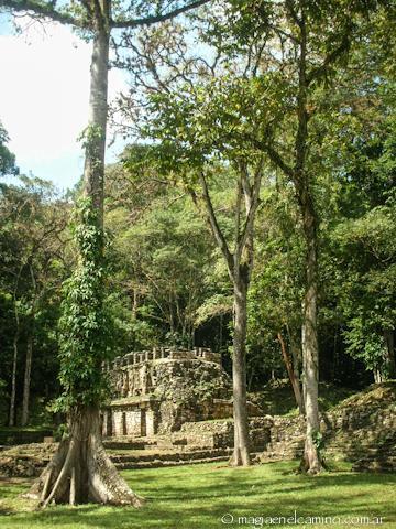 bonampak