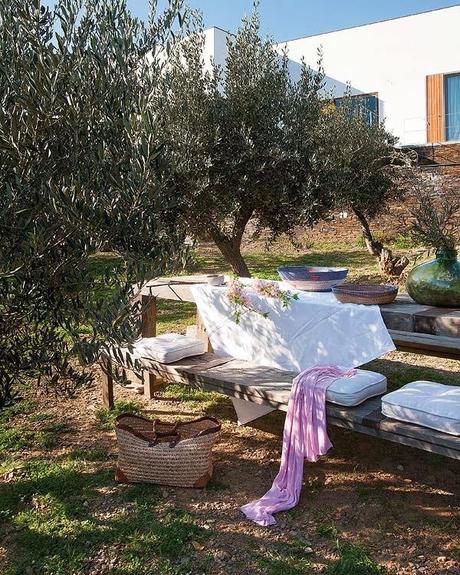 Espacios de Picnic Rustico