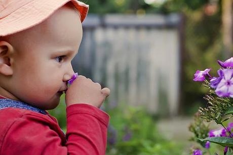 Variables compartidas entre procesos hijos en C [fork()]